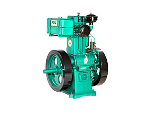 10 HP,1000RPM